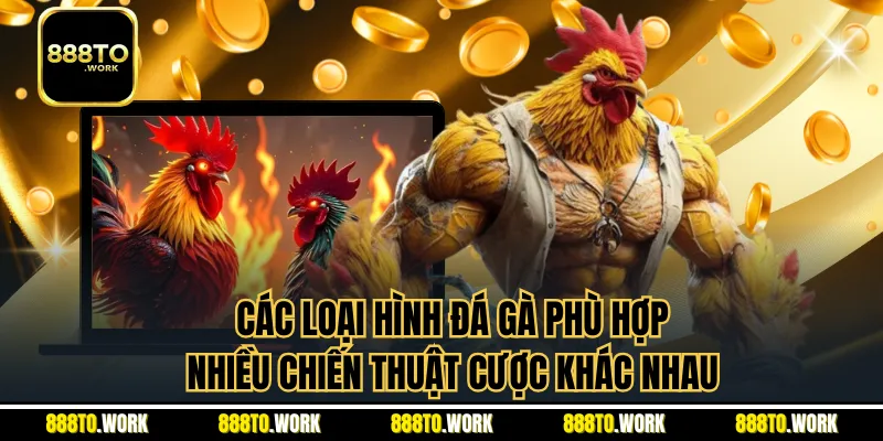 Các loại hình đá gà phù hợp nhiều chiến thuật cược khác nhau