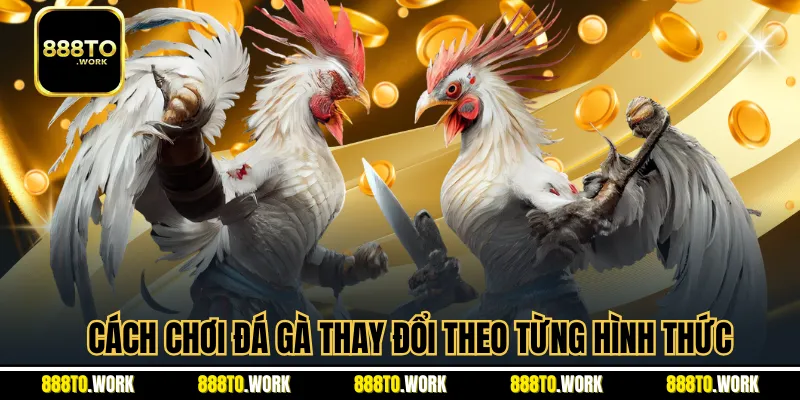 Cách chơi đá gà thay đổi theo từng hình thức
