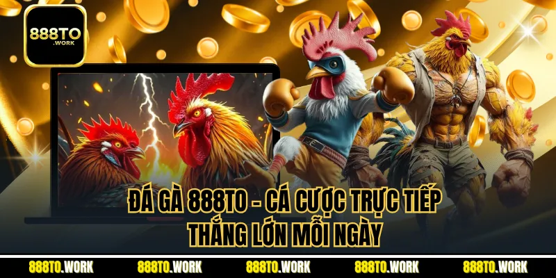 Đá Gà 888TO - Cá Cược Trực Tiếp, Thắng Lớn Mỗi Ngày