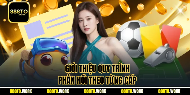 Giới thiệu quy trình phản hồi theo từng cấp